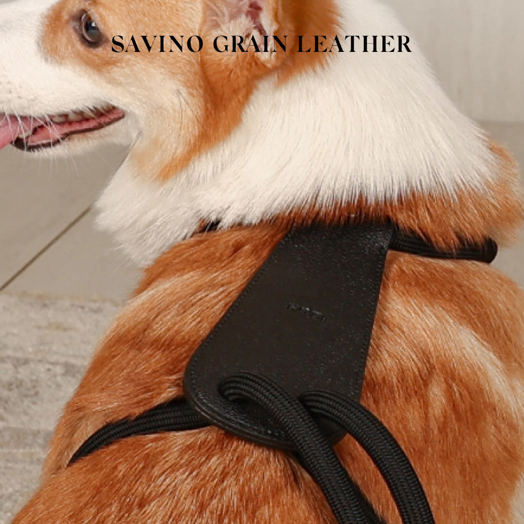 Essential Harness - Black