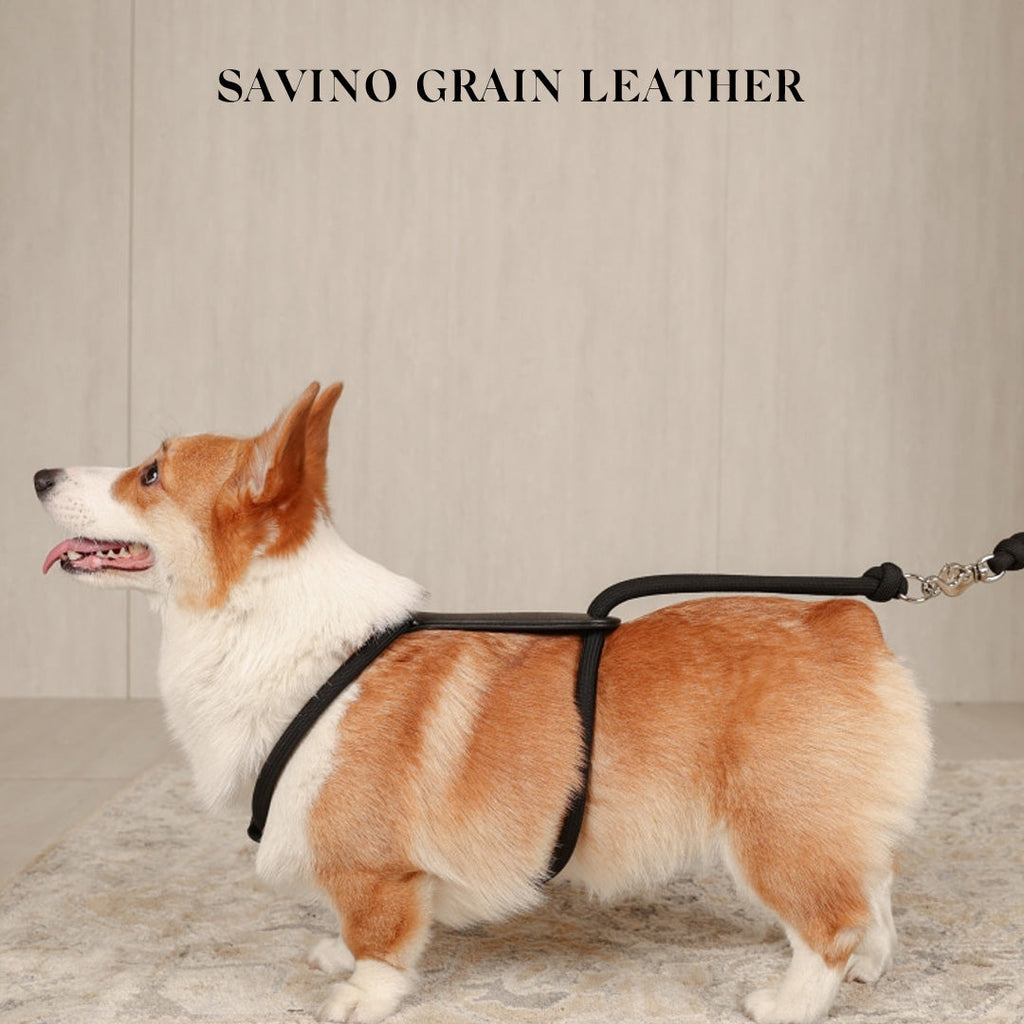 Essential Harness - Black