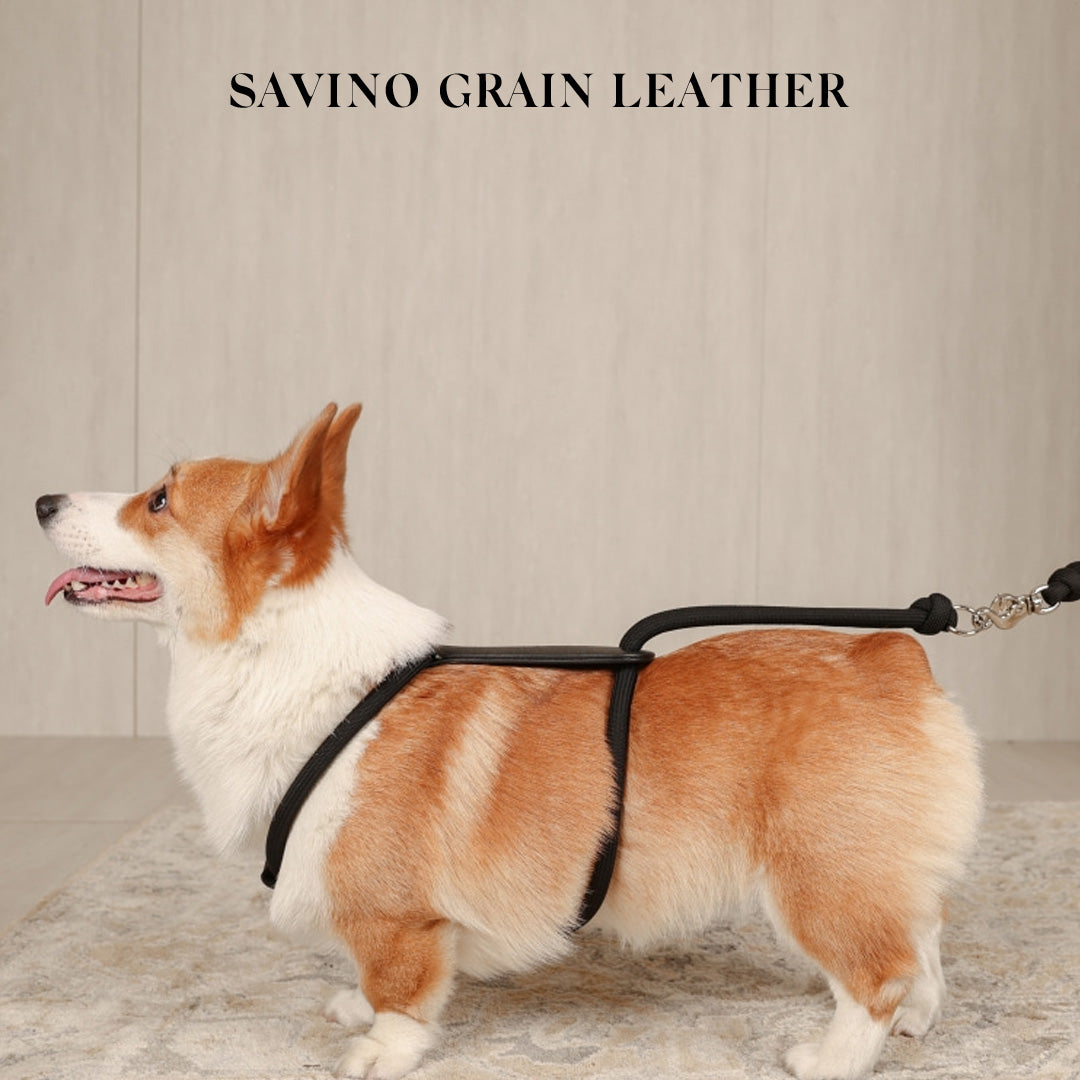 Essential Harness - Black