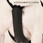 Essential Harness - Black