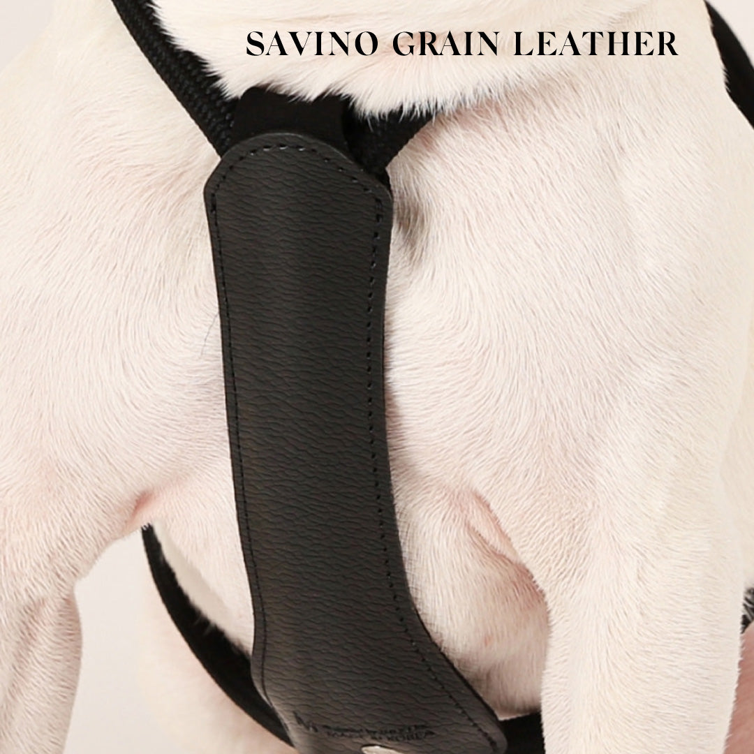 Essential Harness - Black
