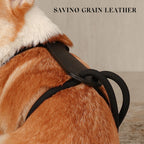 Essential Harness - Black