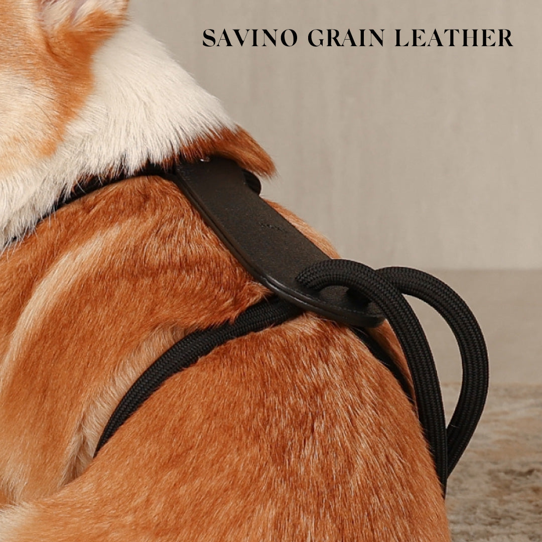 Essential Harness - Black