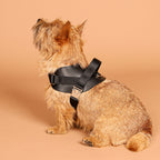 Saddle Harness : Black