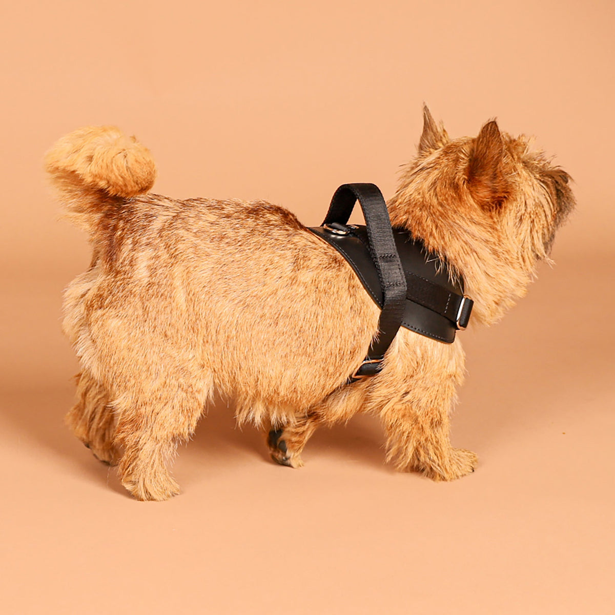 Saddle Harness : Black