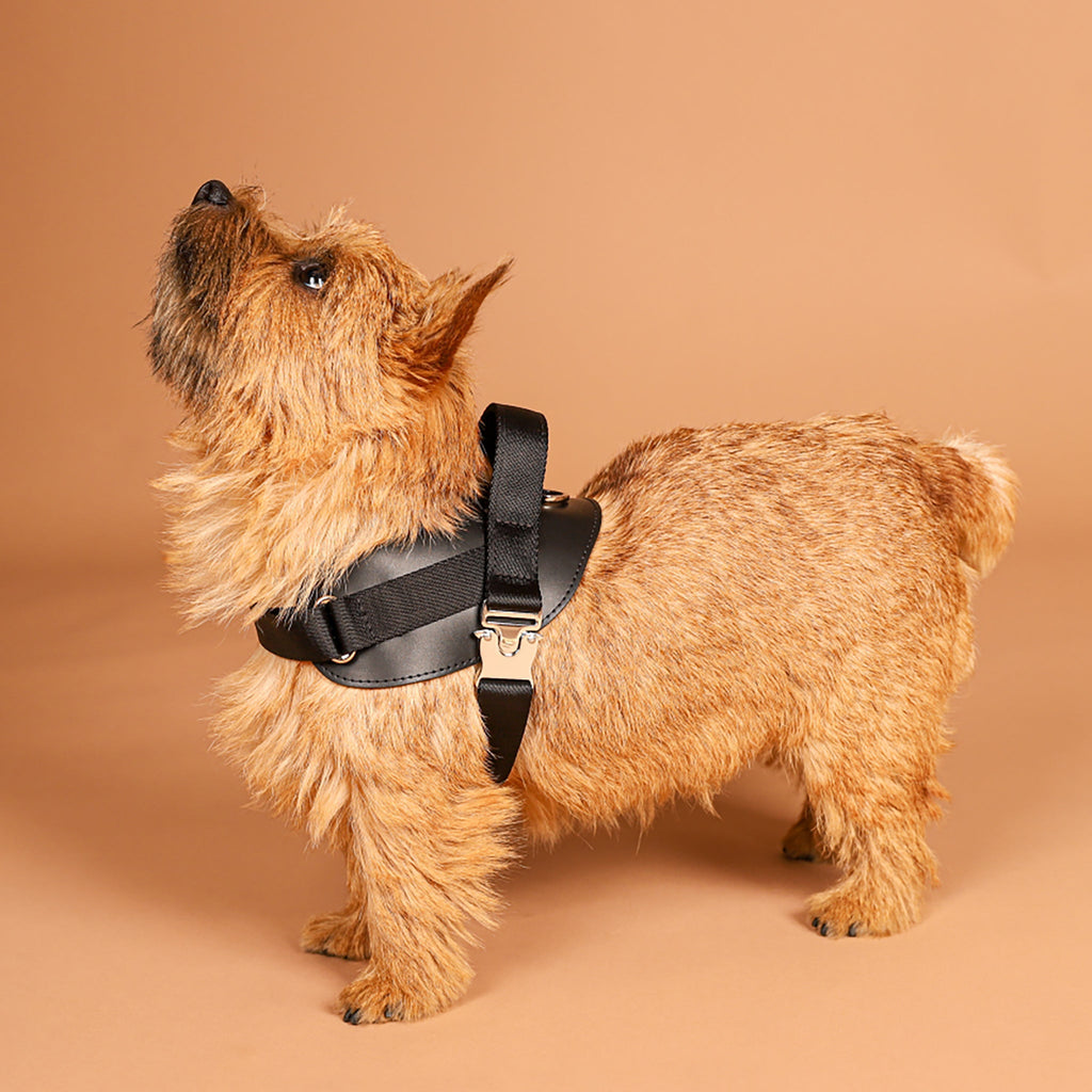 Saddle Harness : Black